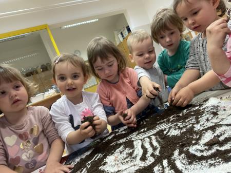 dan za spremembe (2)